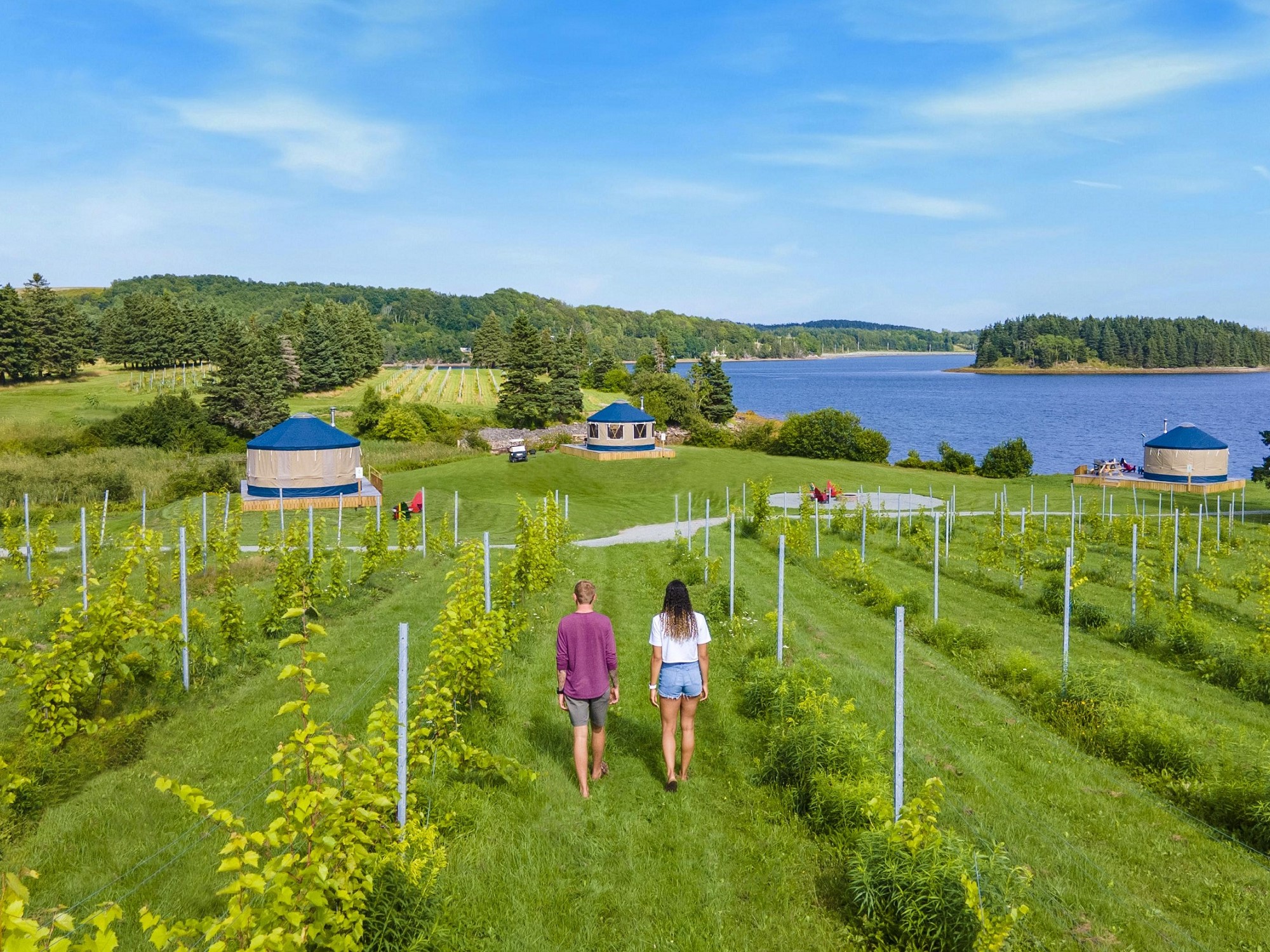 Two people walk through a green vineyard towards yurts located by the water.
