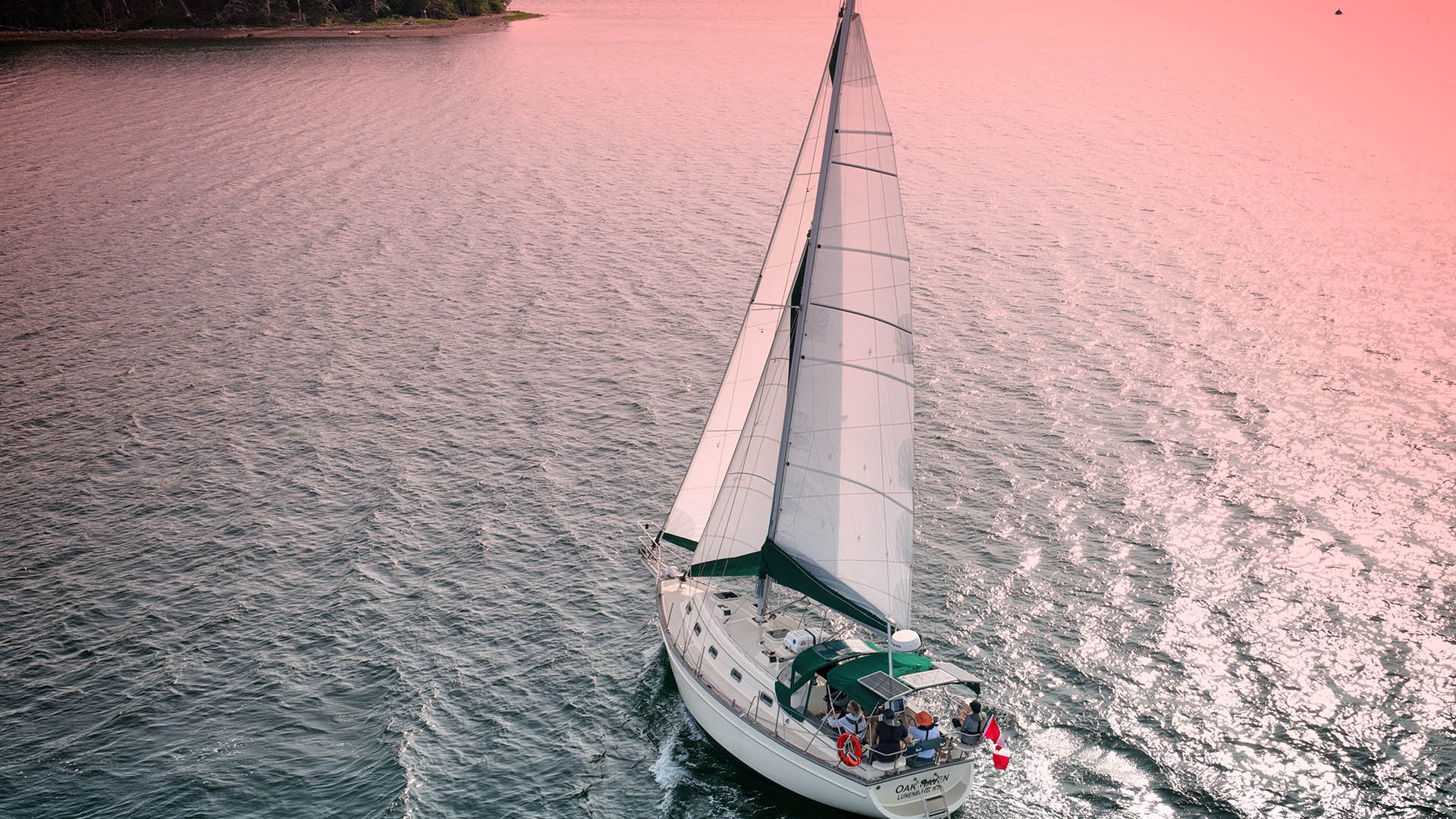 An aerial view of a sailboat on the pink sunset colored water with Sail and Sea