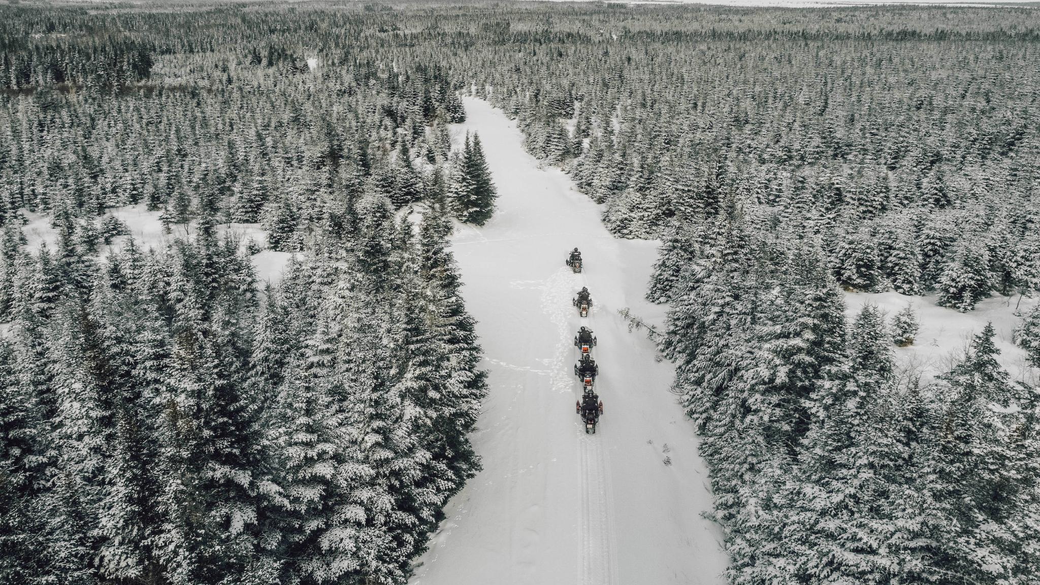 5 snowmobiles drive on a snow filled trail in winter in Cape Breton.