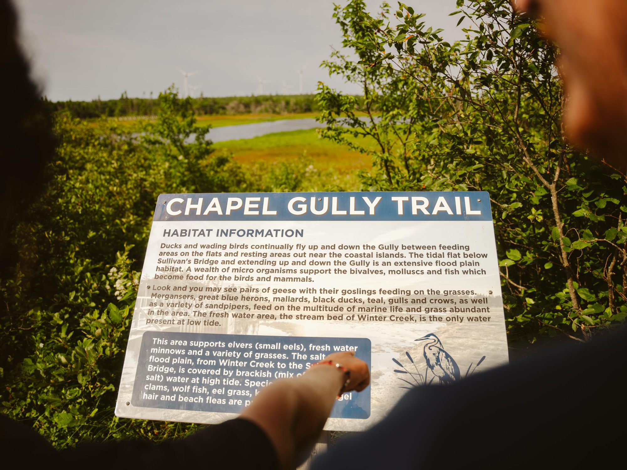 Chapel Gully Trail