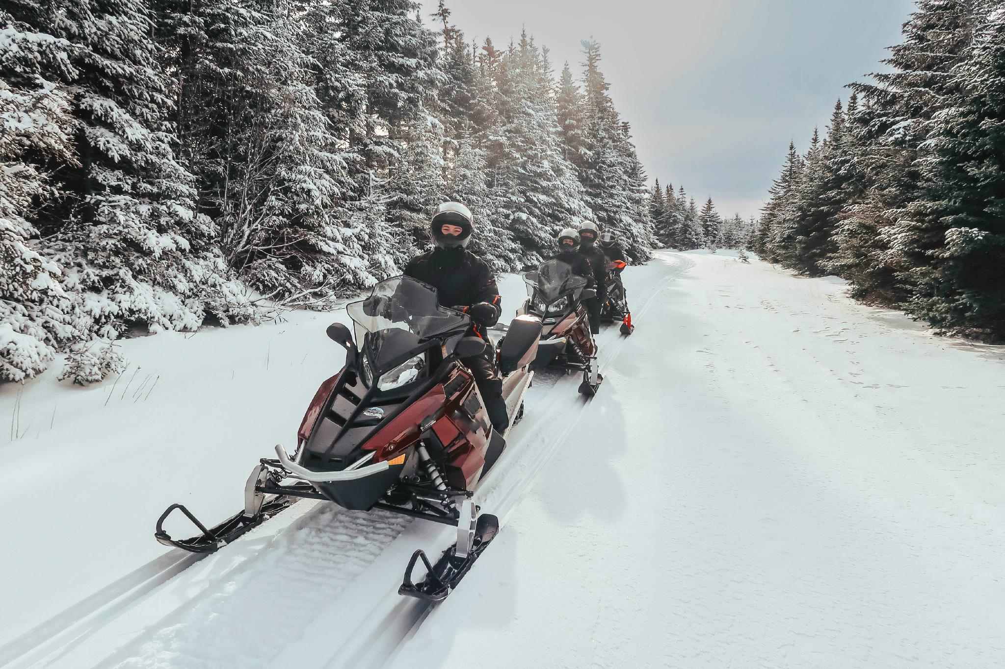A group of snowmobilers drive on a fresh trail of snow through a forest.