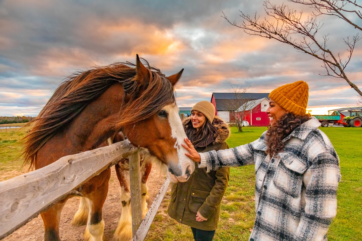 Two people pat a horse. It is fall and the two people are dressed appropriately.