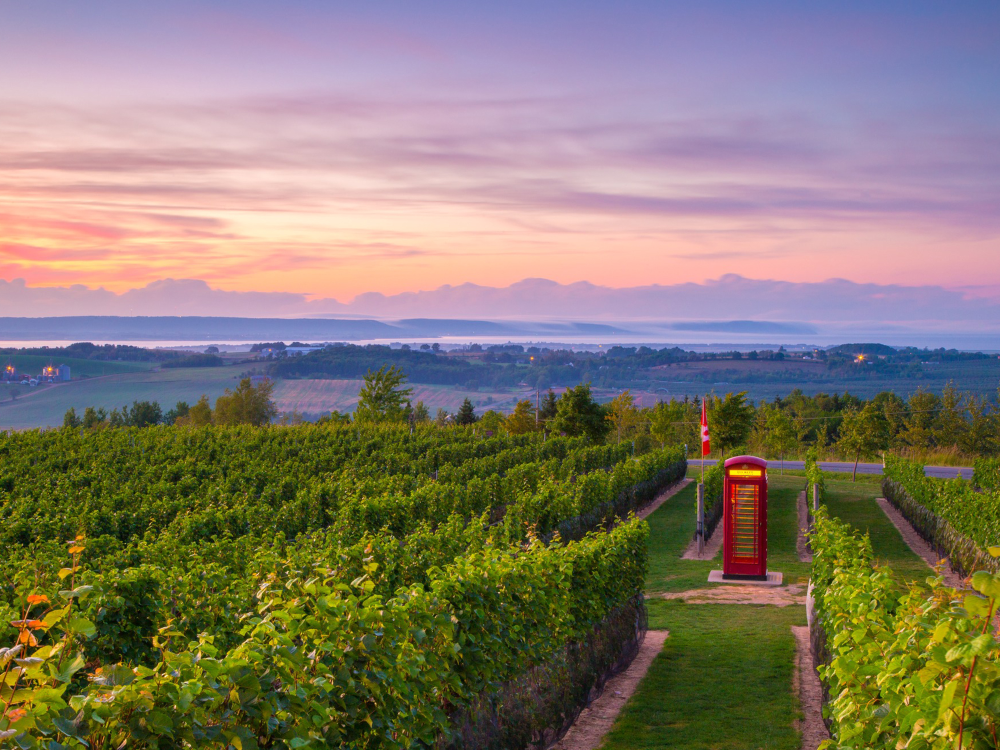 Luckett Vineyards