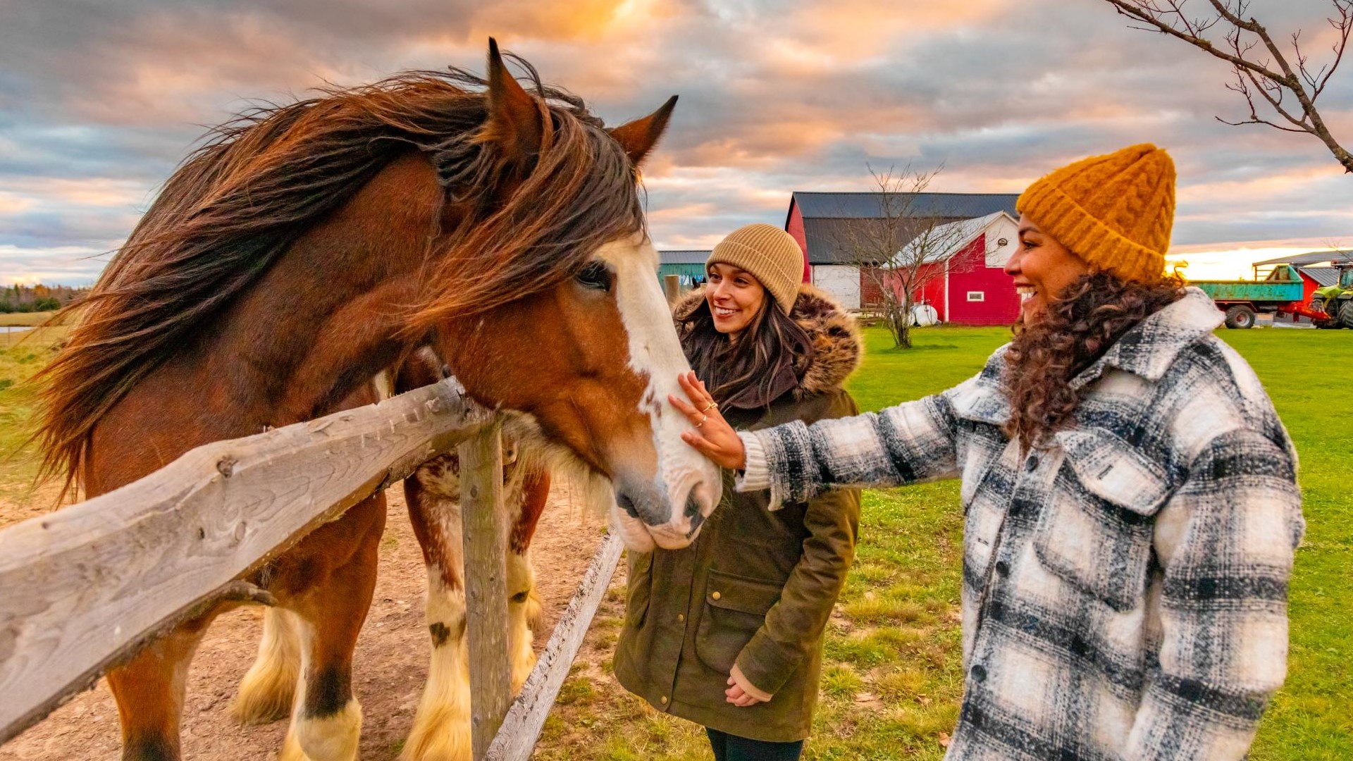 Two women pet a horse.