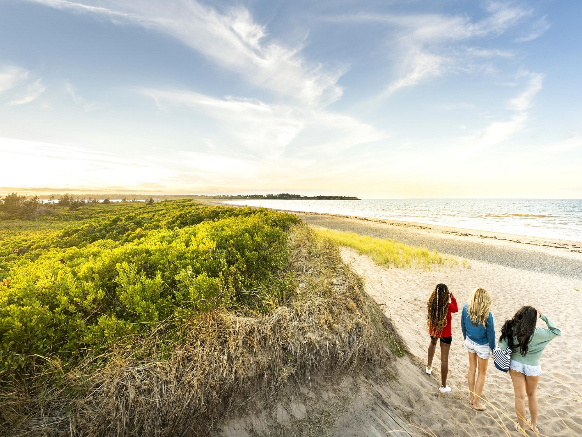 Three women stand on a sandy beach looking out at the water.