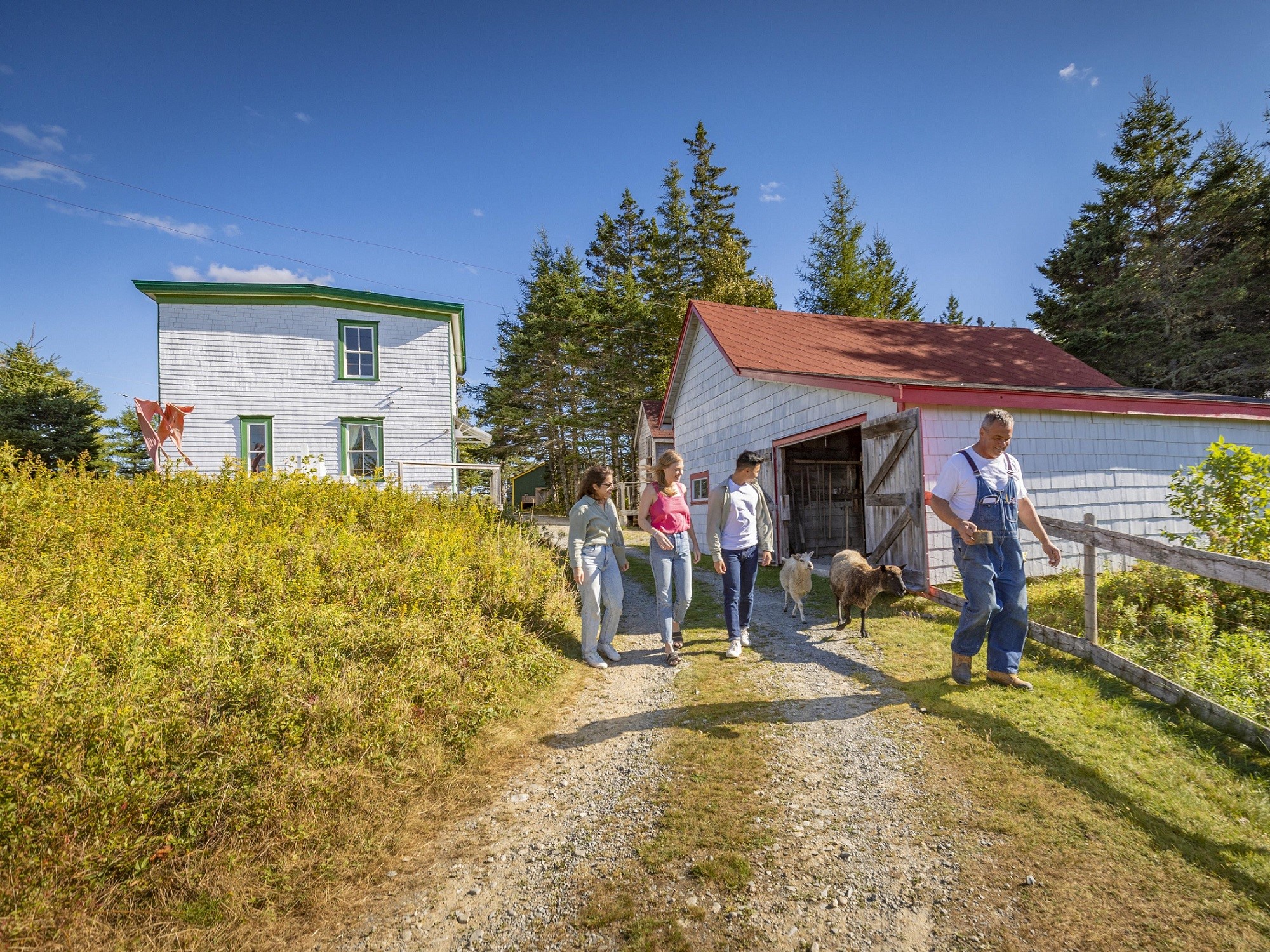 Three people walk along a path with a costumed interpreter at a Memory Lane Heritage Village alongside two goats.