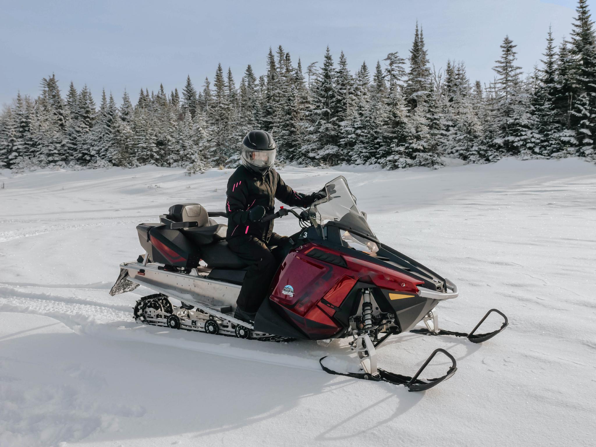 A person on a red snowmobile, in the winter, with snow on the ground and snow filled ever green trees in the background.