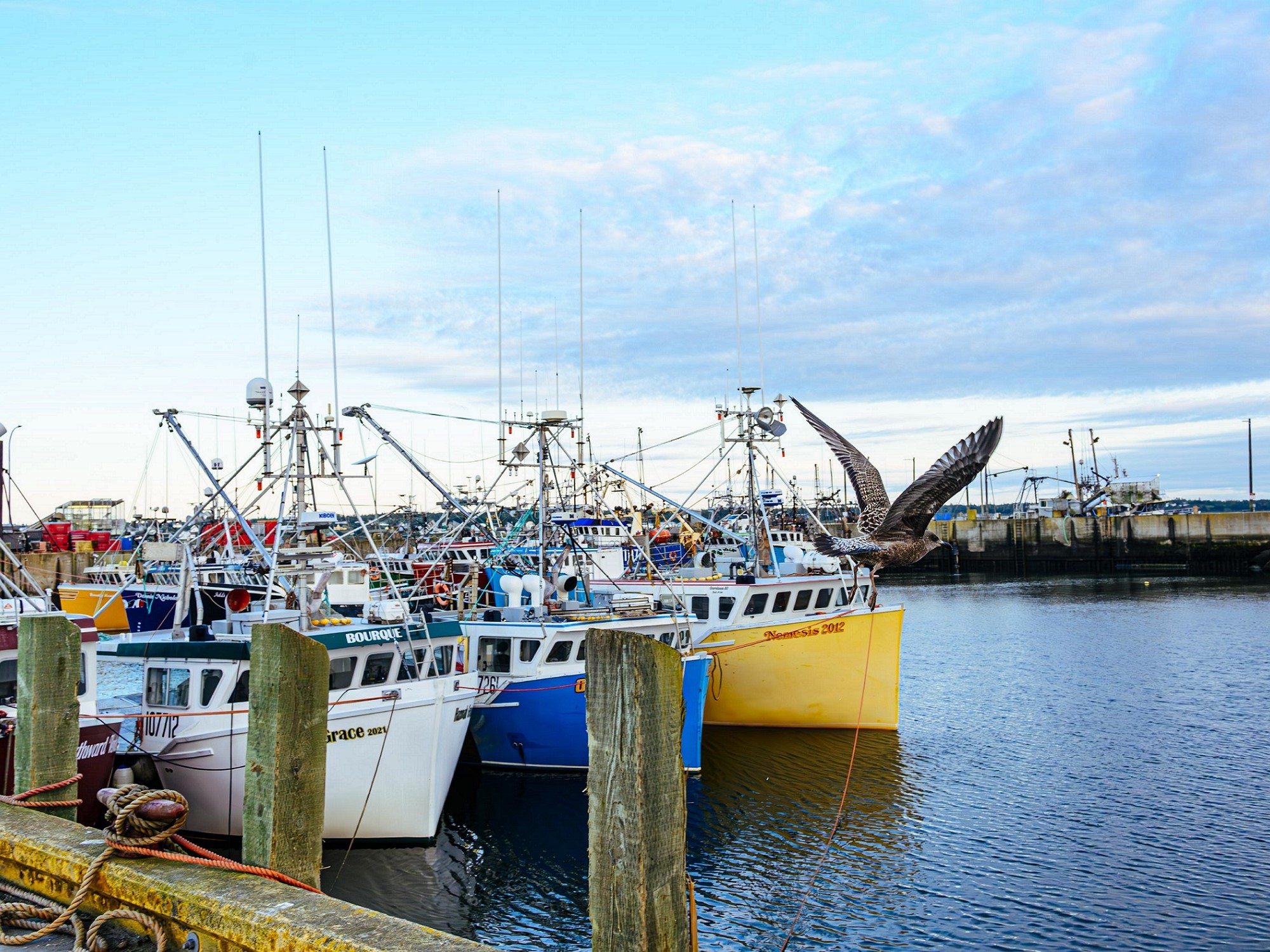Discover Acadian History, Culture and Food in Pubnico, Nova Scotia