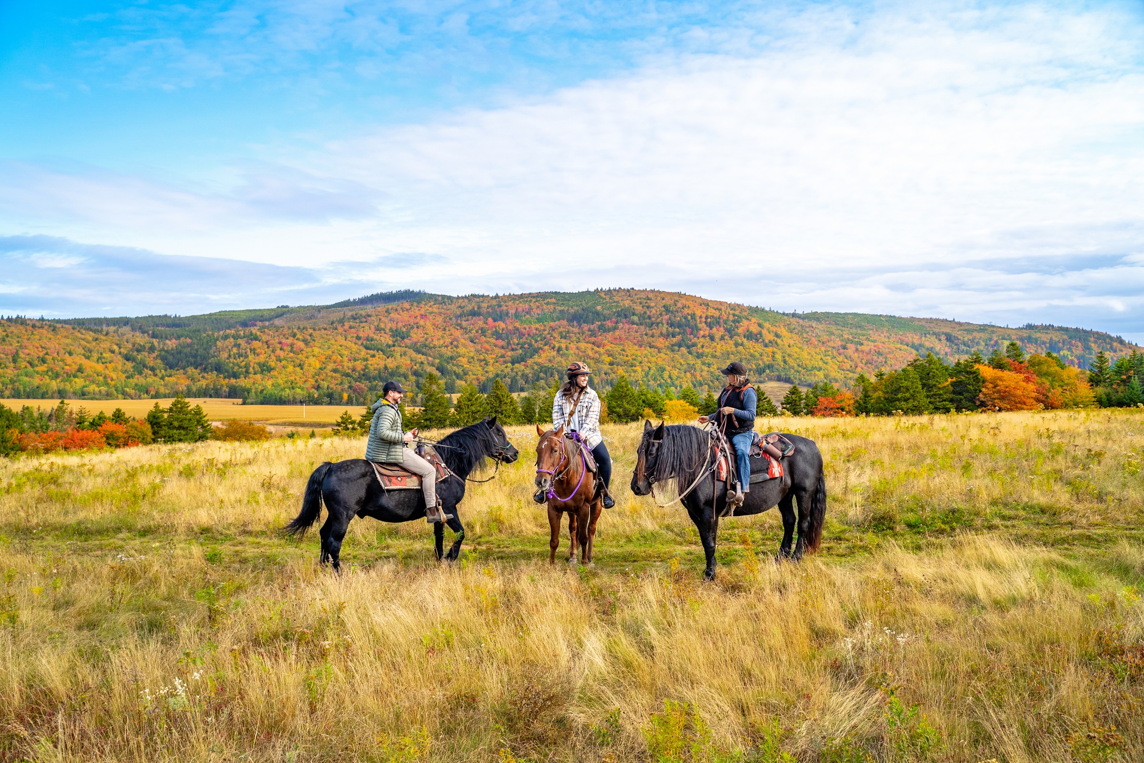 Three people sit on horses in the middle of a picturesque field with fall colours on the hill behind them on a tour with Spirit Reins Ranch.