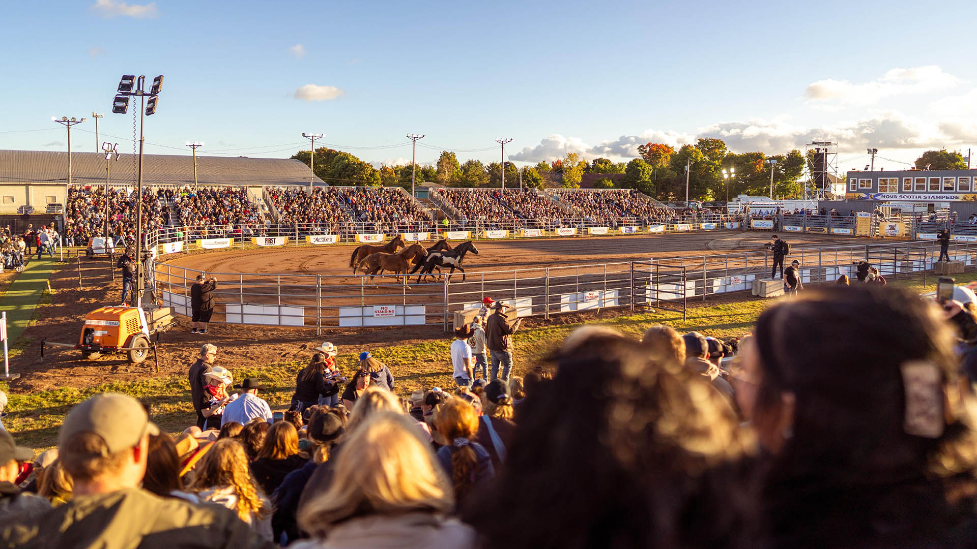 Horses in the riding ring with the stands full of spectators at the Nova Scotia Stampede in Truro