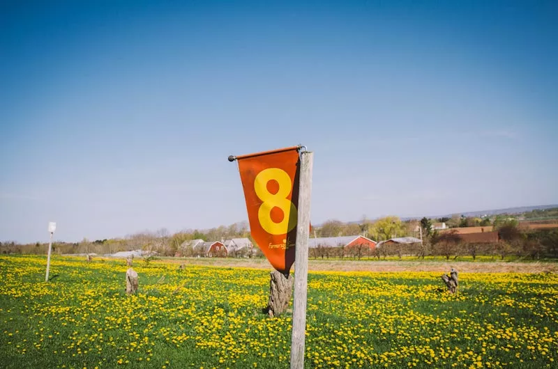 Hennigar’s Farmersgolf