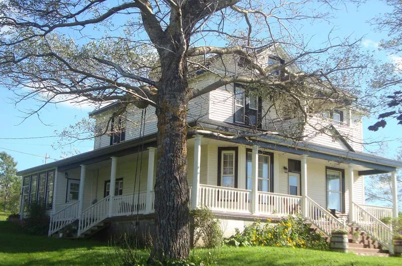Dusky Diamonds Bed & Breakfast