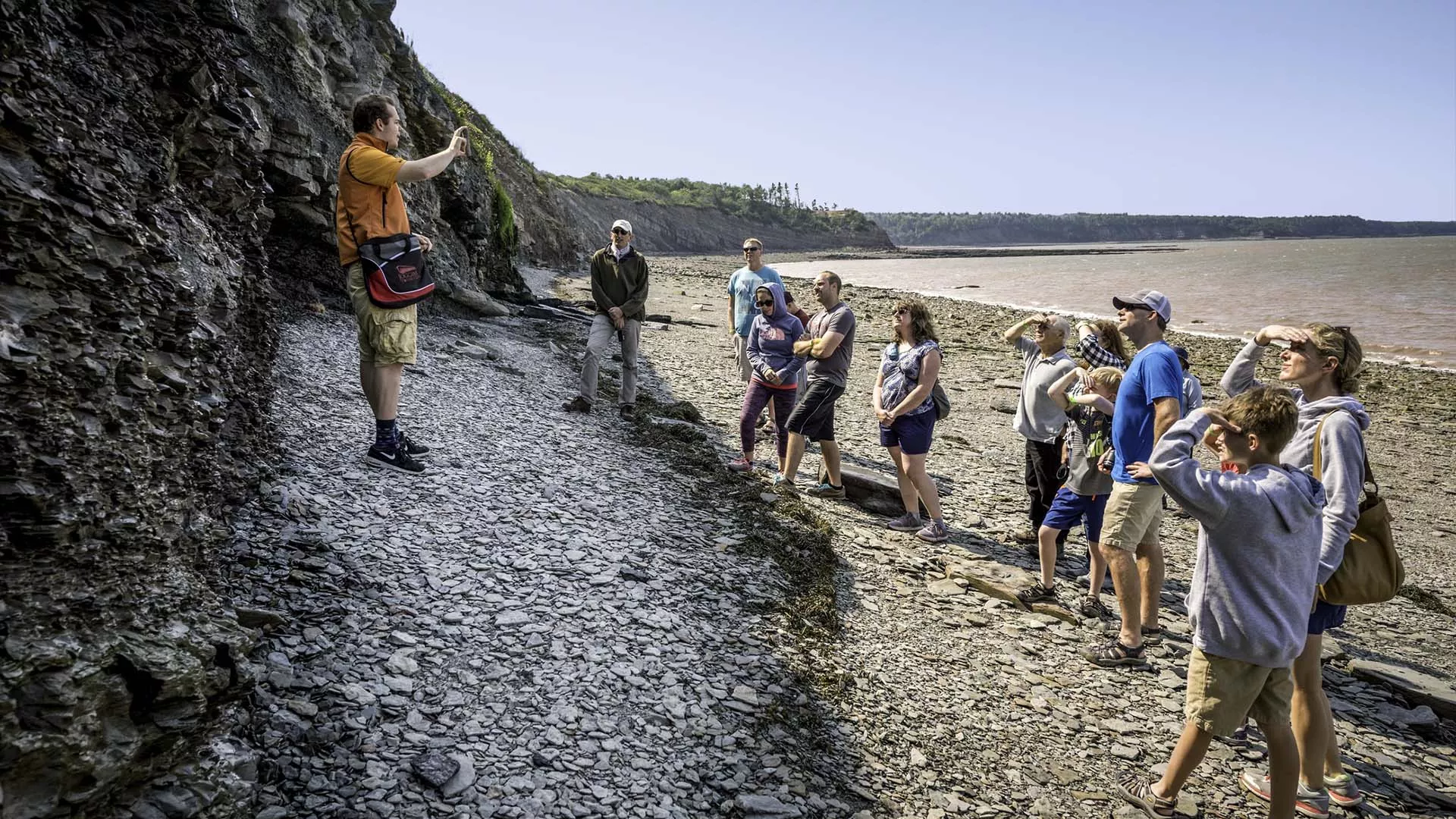 Joggins Fossil Cliffs UNESCO World Heritage Site
