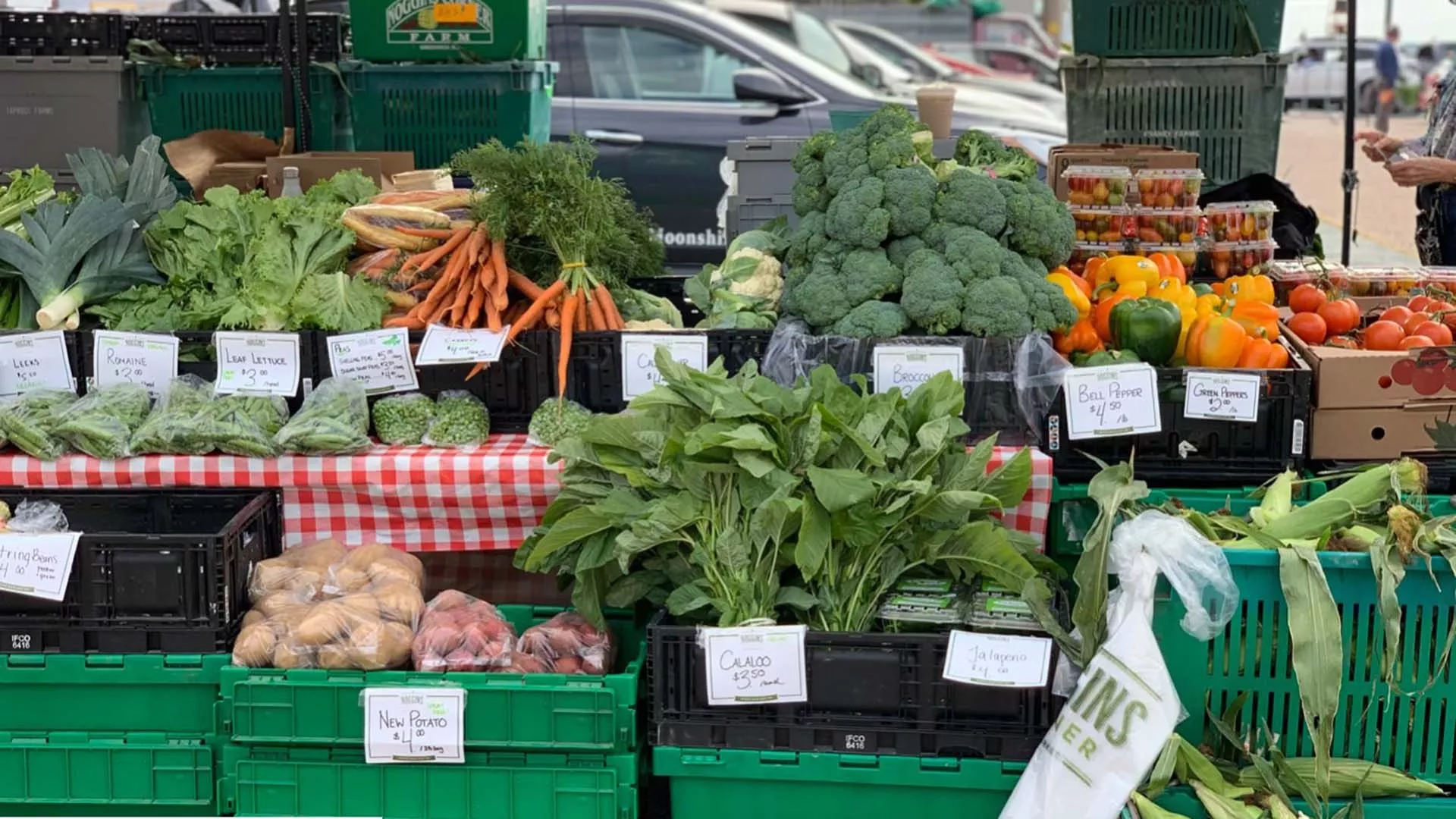 Alderney Landing Farmers’ Market