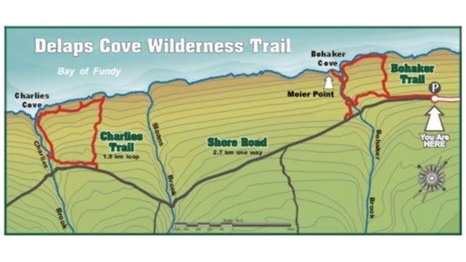 Delaps Cove Wilderness Trail