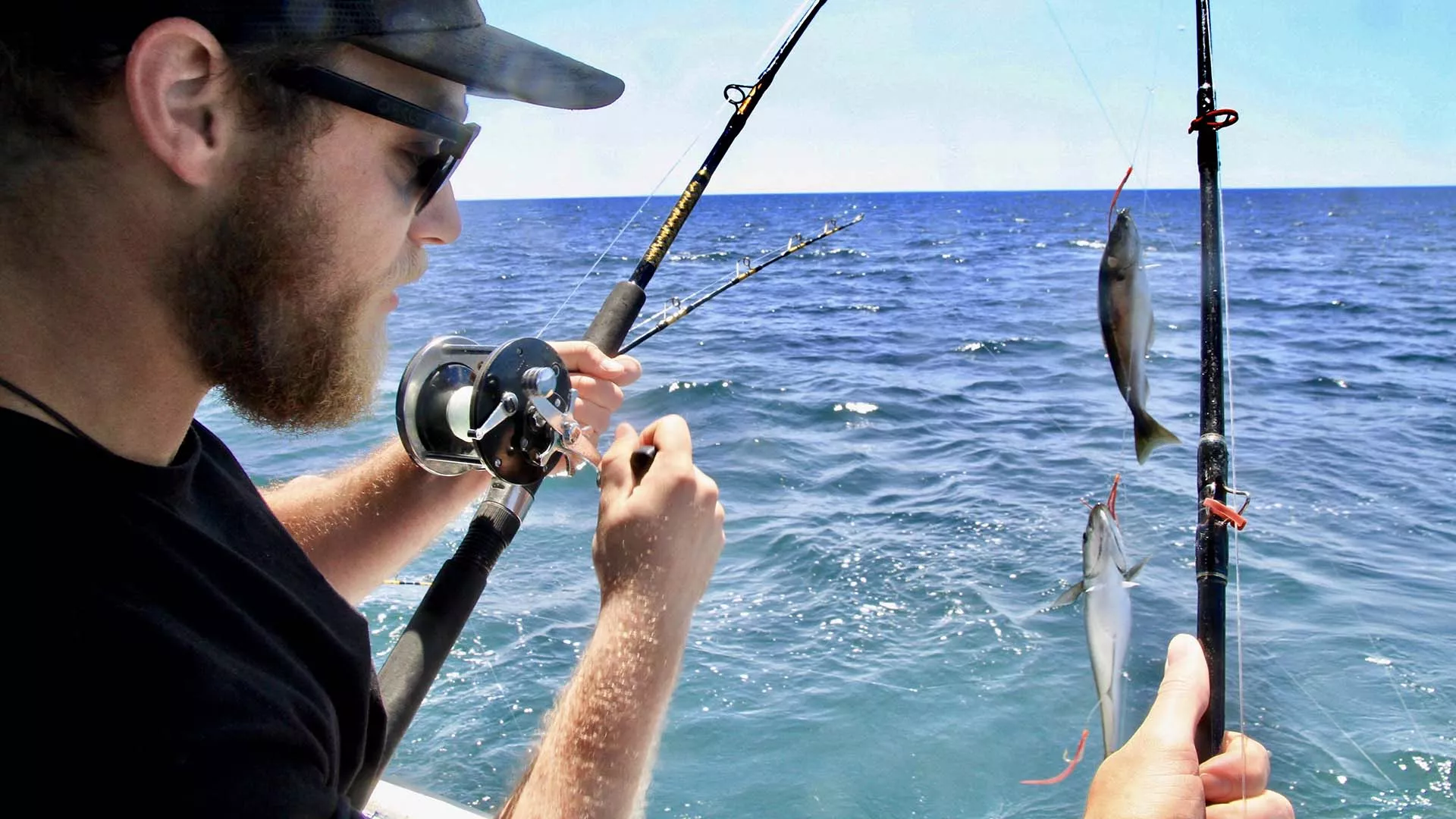 Deep Sea Fishing by Ambassatours Gray Line