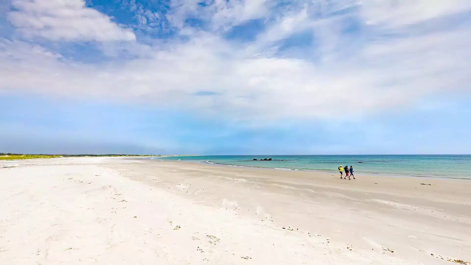 The Hawk Beach