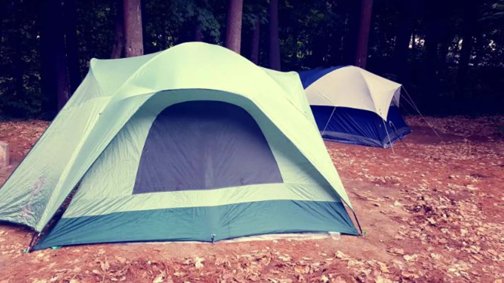 Cole’s Campground