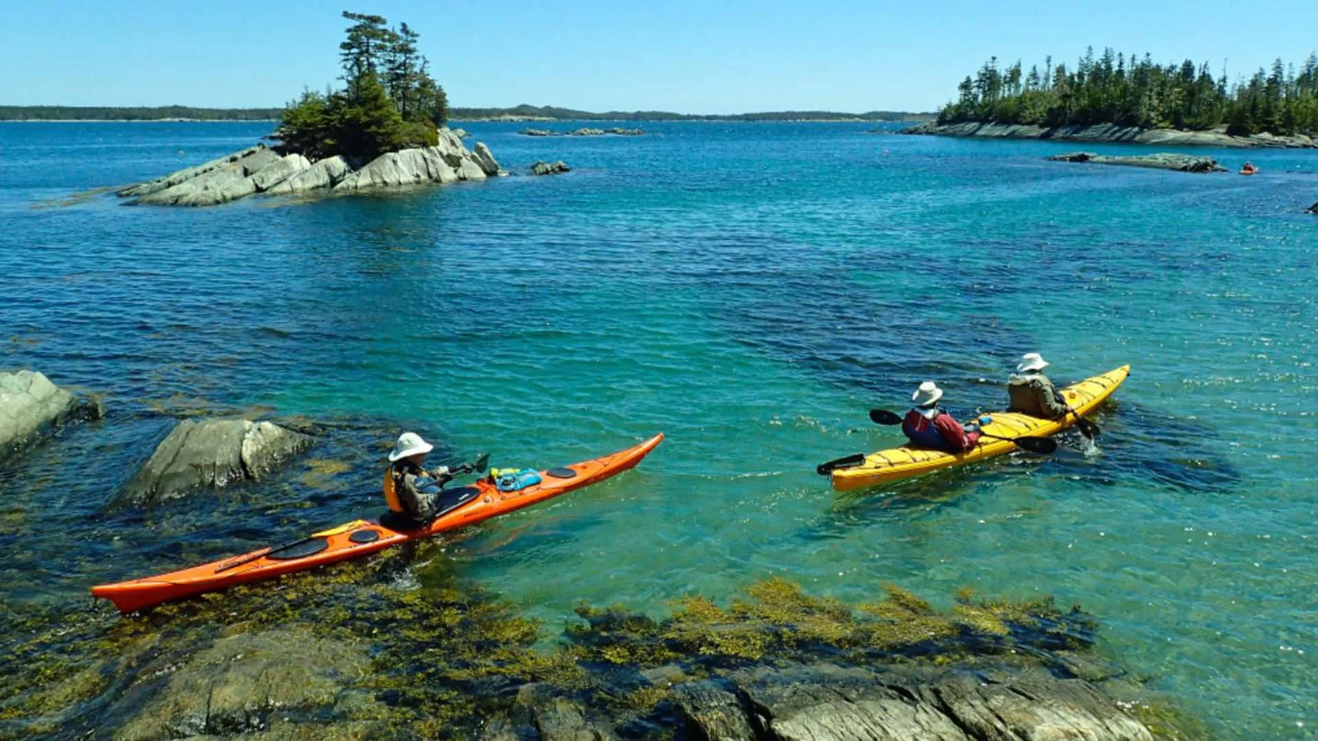 Coastal Adventures