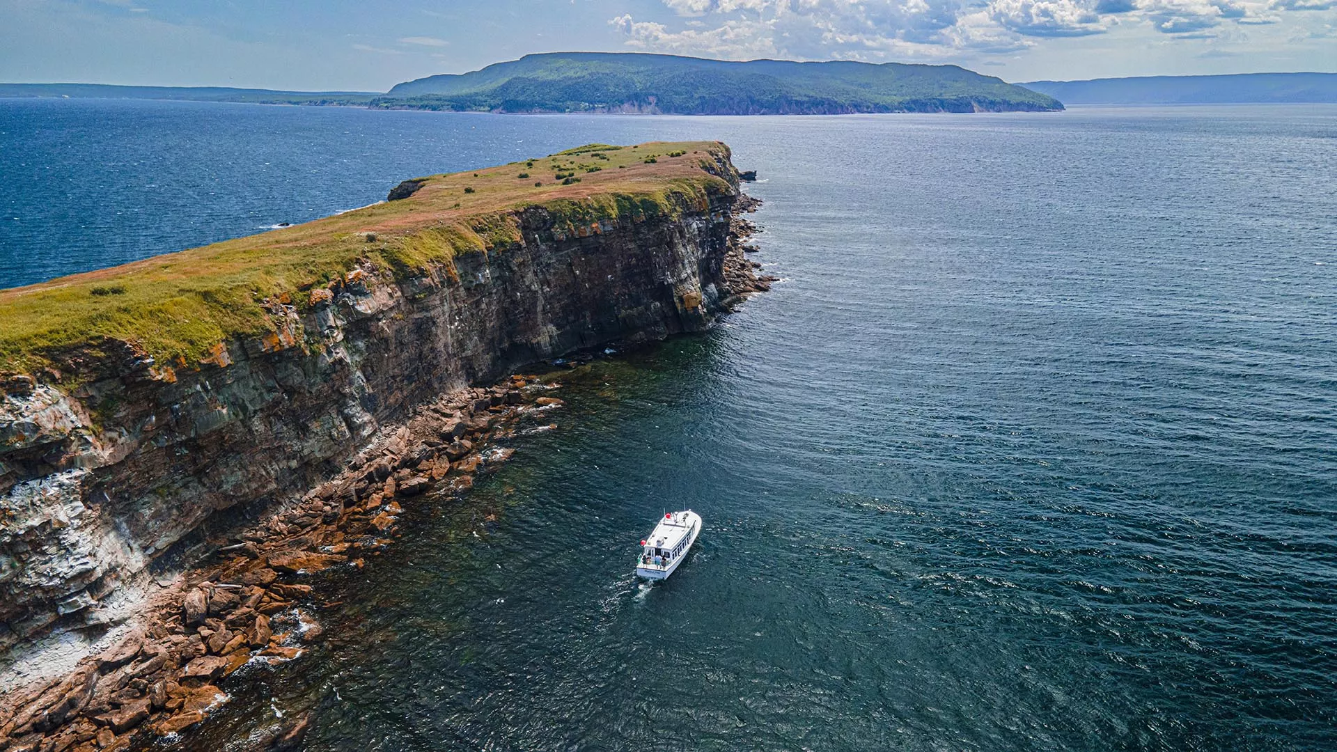 Donelda’s Bird Island Puffin Tours