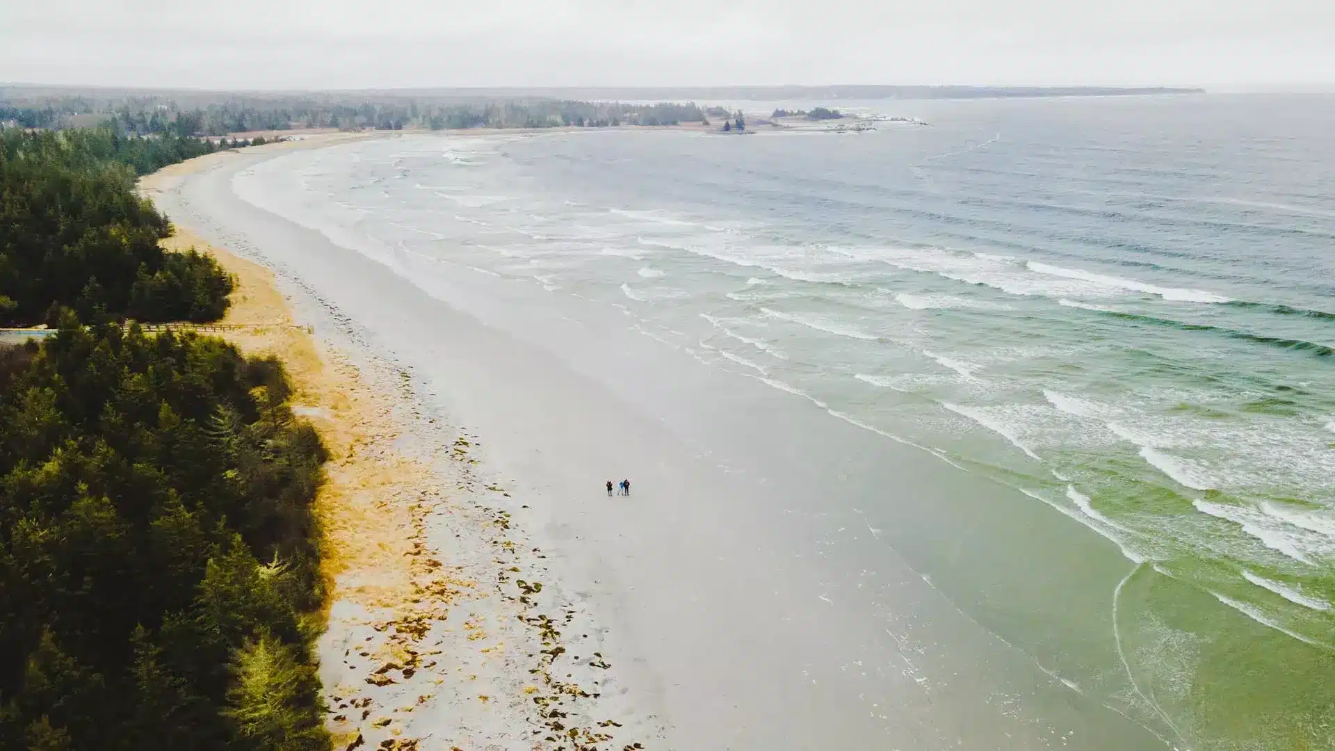 Beach Meadows Beach Park