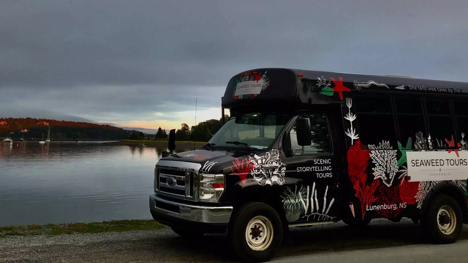 Seaweed Tours