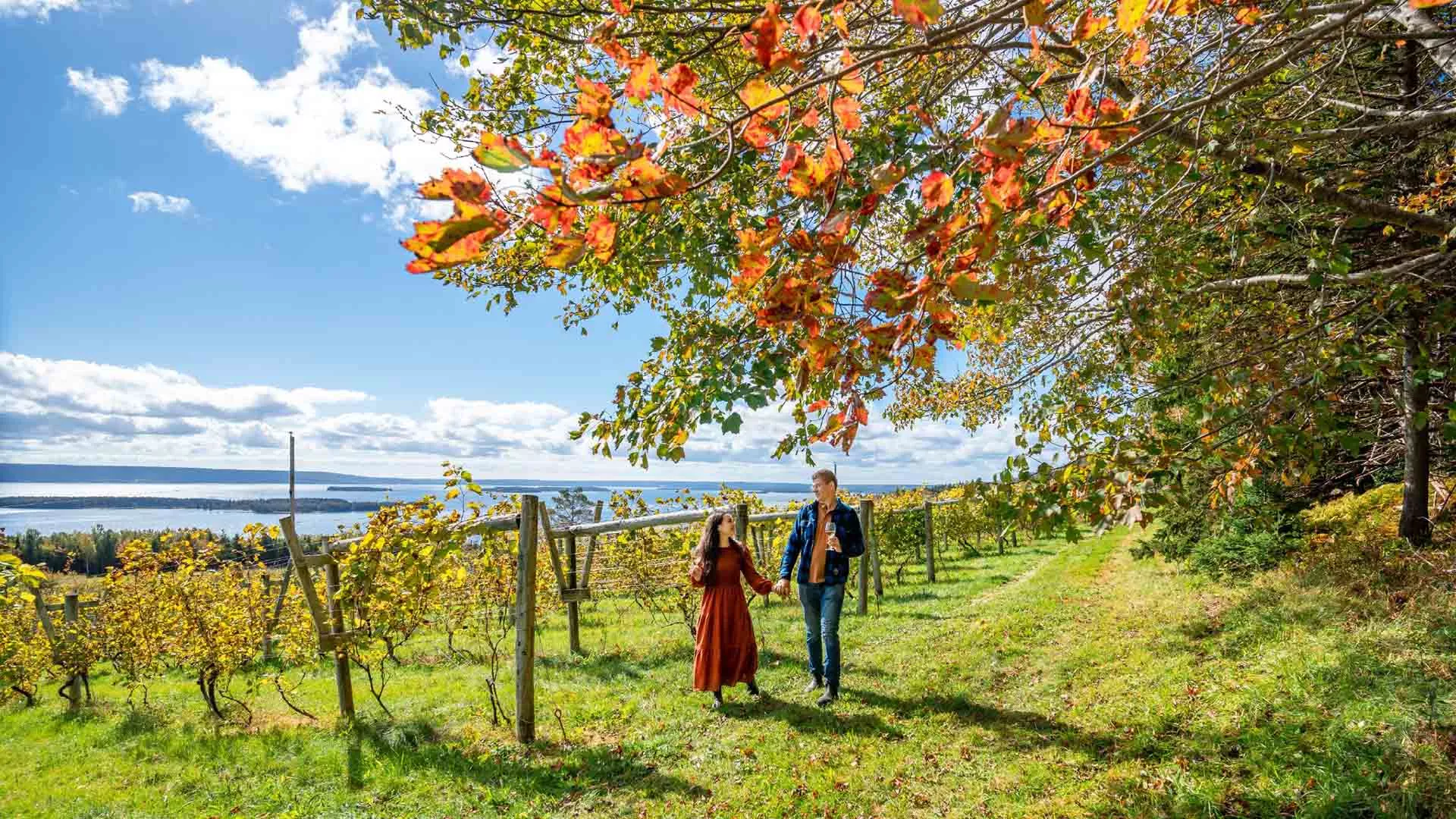 Eileanan Brèagha Vineyards