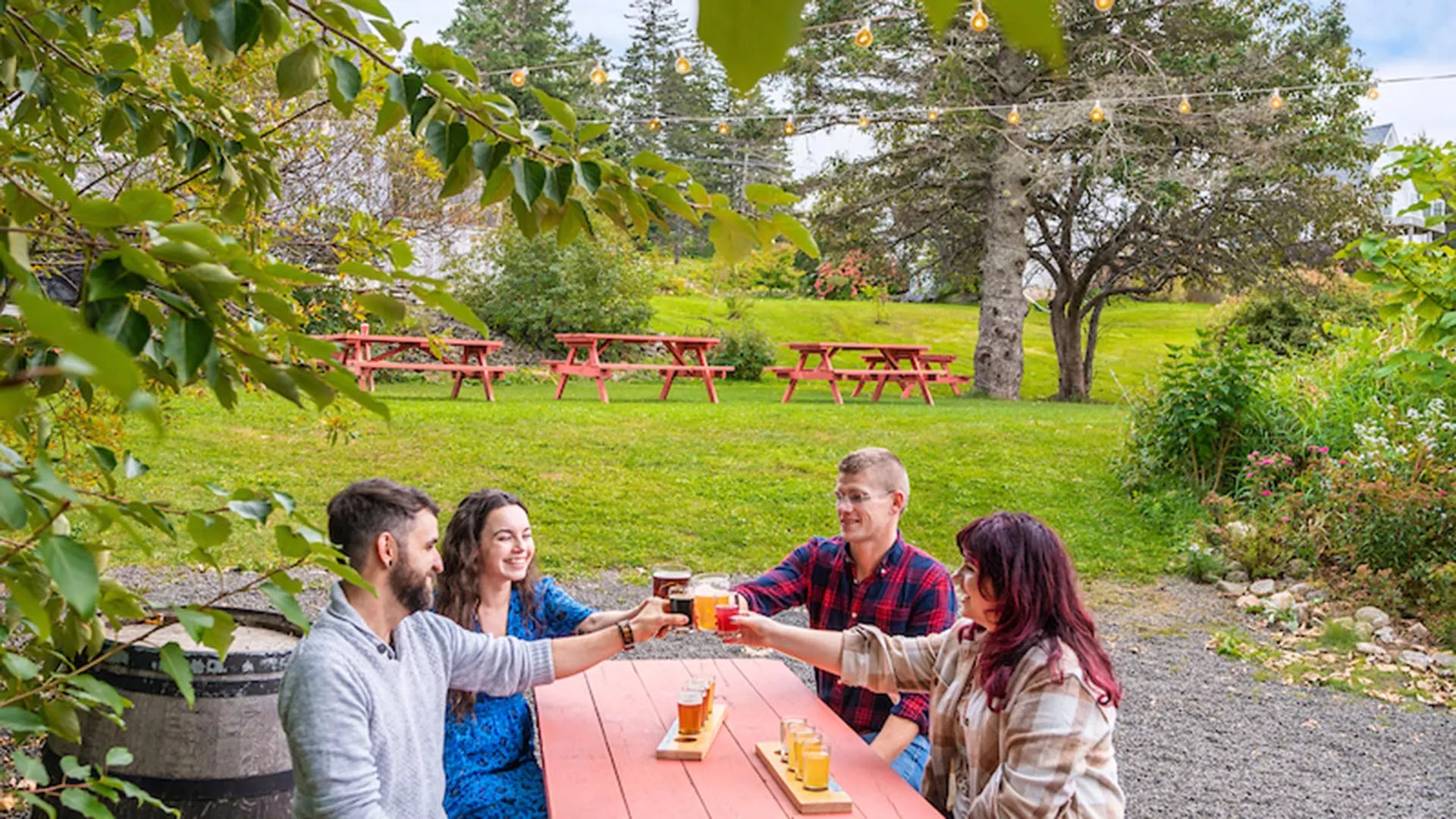 Lazy Bear Brewing