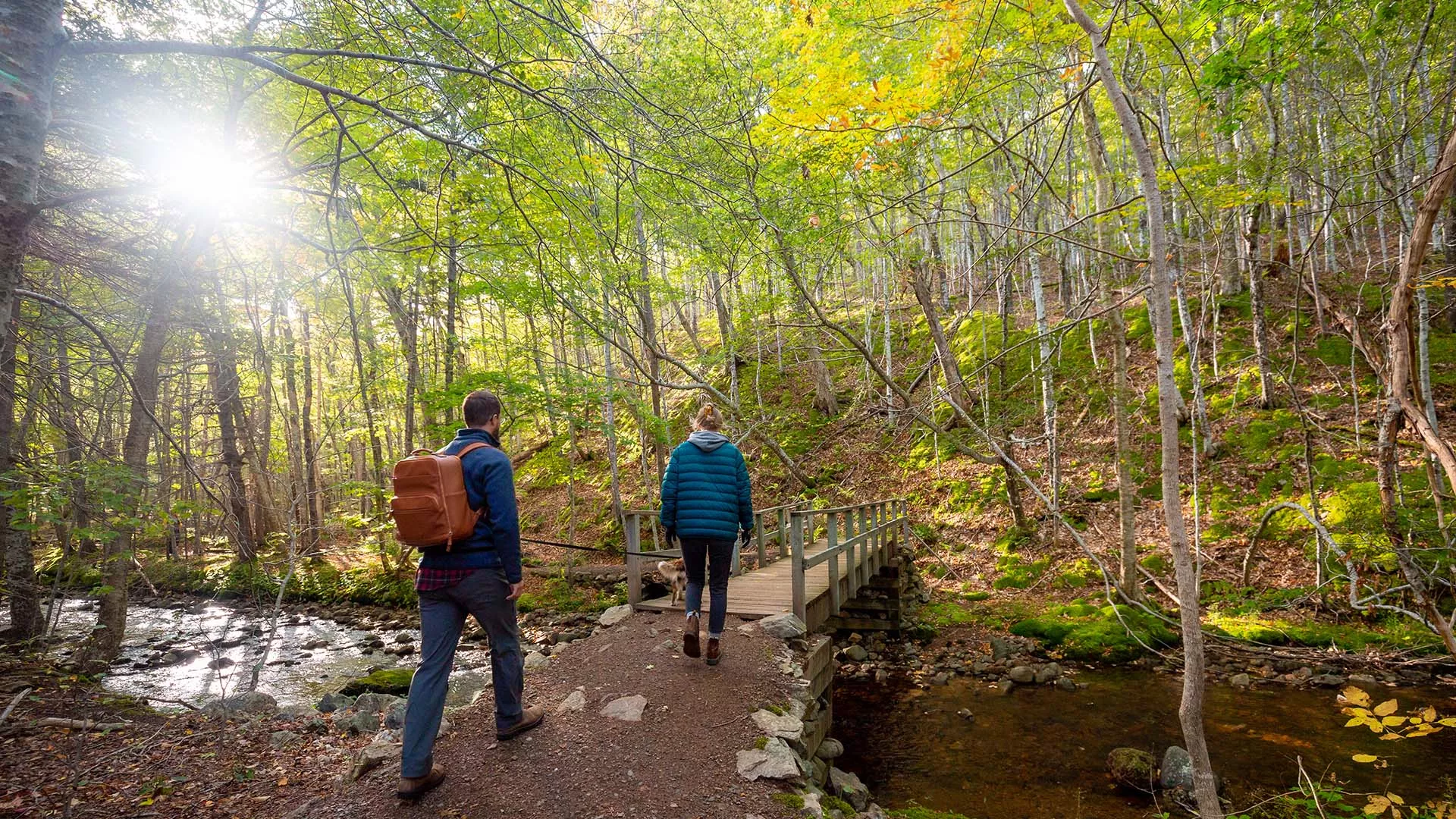 MacIntosh Brook Campground – Cape Breton Highlands National Park