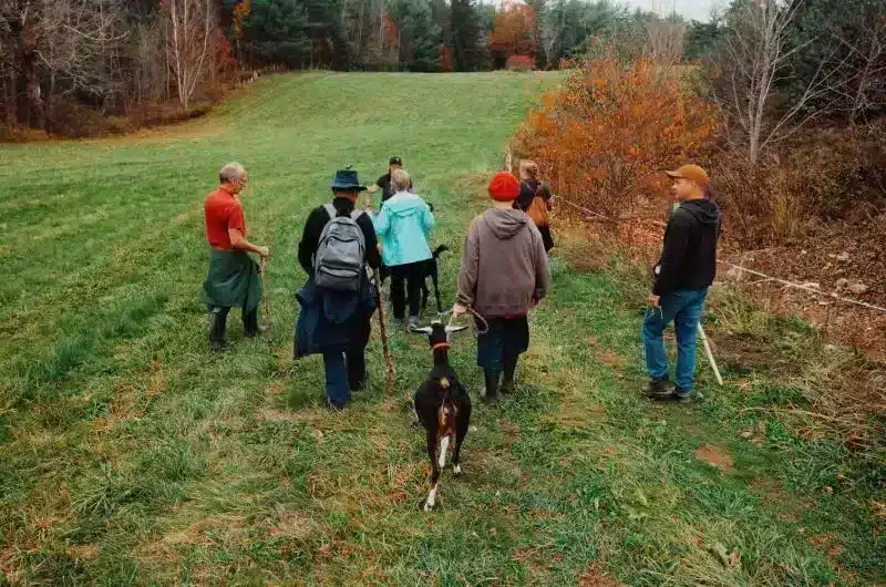 A group of people are walking with a goat through a green field. It appears to be fall.