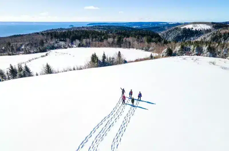 Five people snowshoe in lots of snow on a hill. In the distance, the water of the Bay of Fundy can be see.