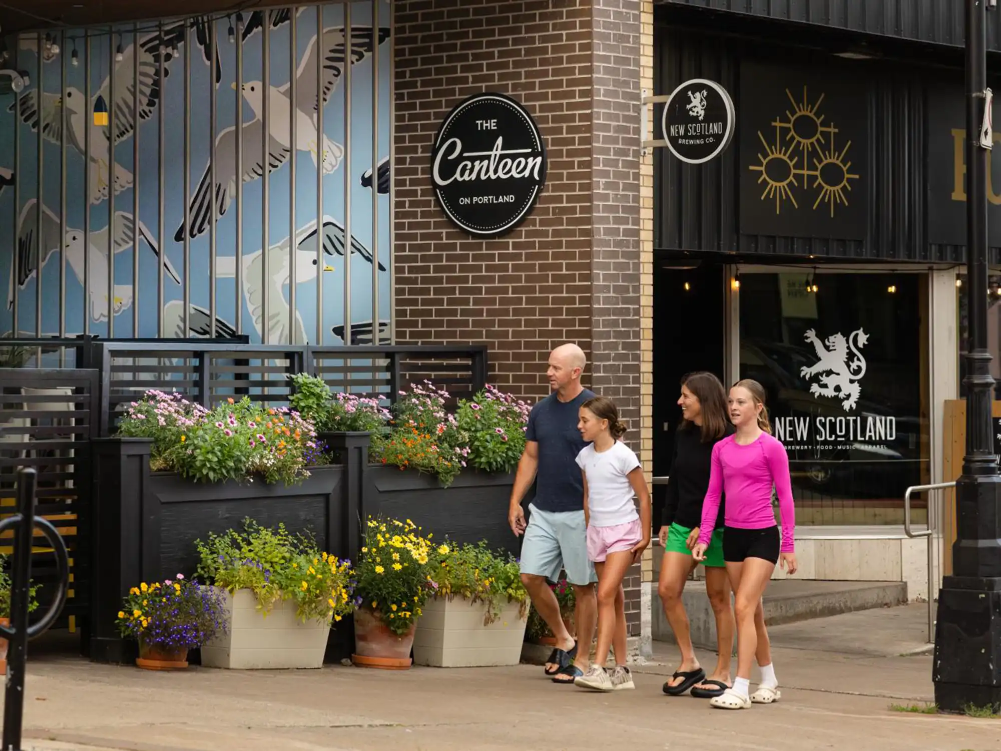 Downtown Dartmouth