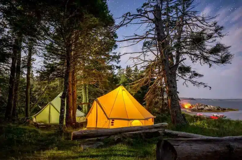 A yellow tent and green tent sit in a wooded area or campground. It is night.