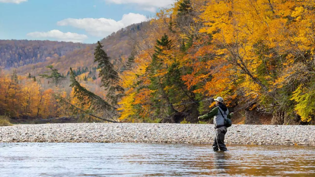 Sport Fishing