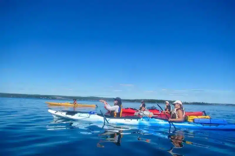 A group of people kayak in very blue water on a very blue sky day.