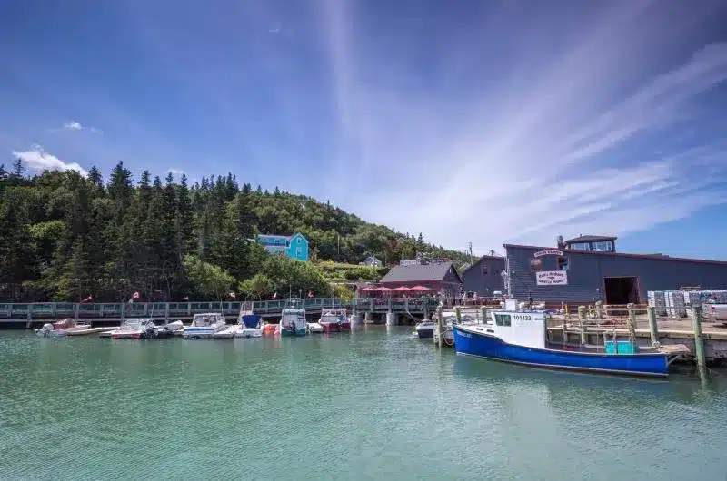 A sunny harbour with lots of fishing boats. Some buildings can be seen on shore behind the boats.