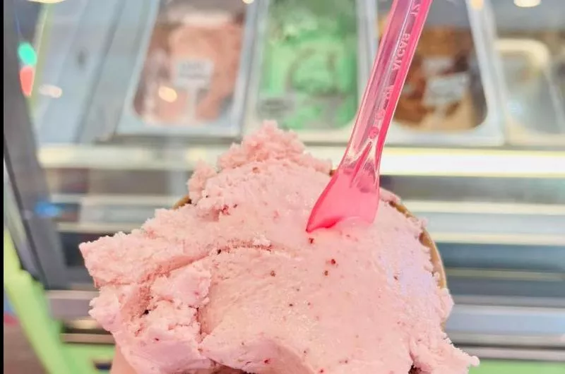 A scoop of pink gelato with a pink spoon.