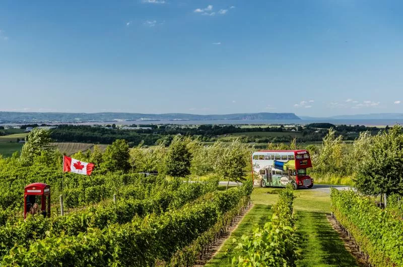 The view over looking the Bay of Fundy at Luckett Vineyards on the Magic Winery Bus Tour