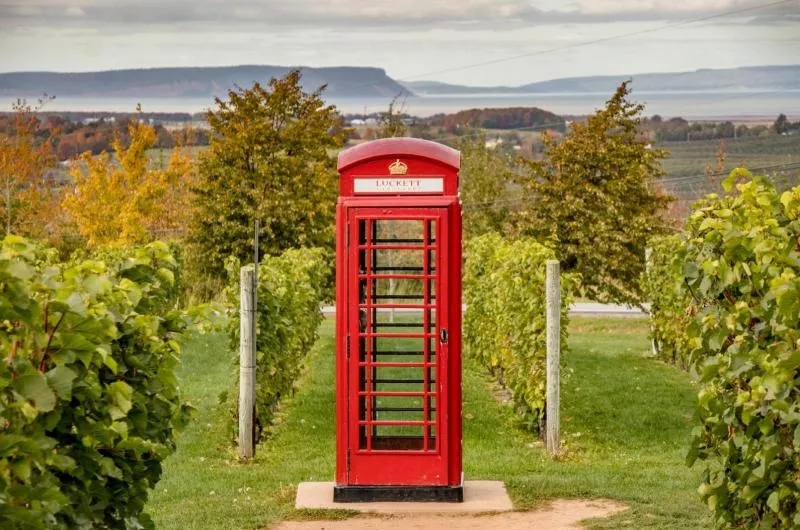 The iconic red phone booth set in the middle of Luckett Vineyards.