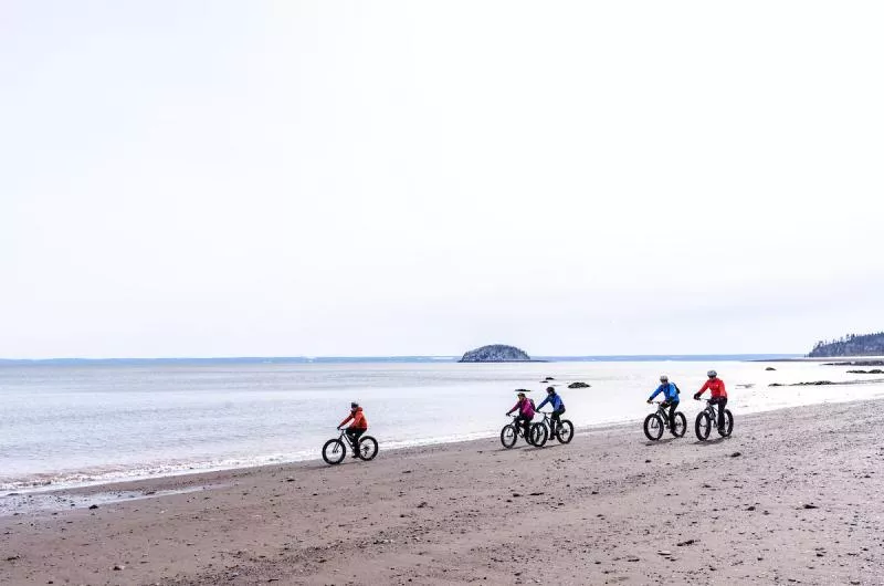 A group fat biking on the sand near the water in Spencer's Island during the winter.