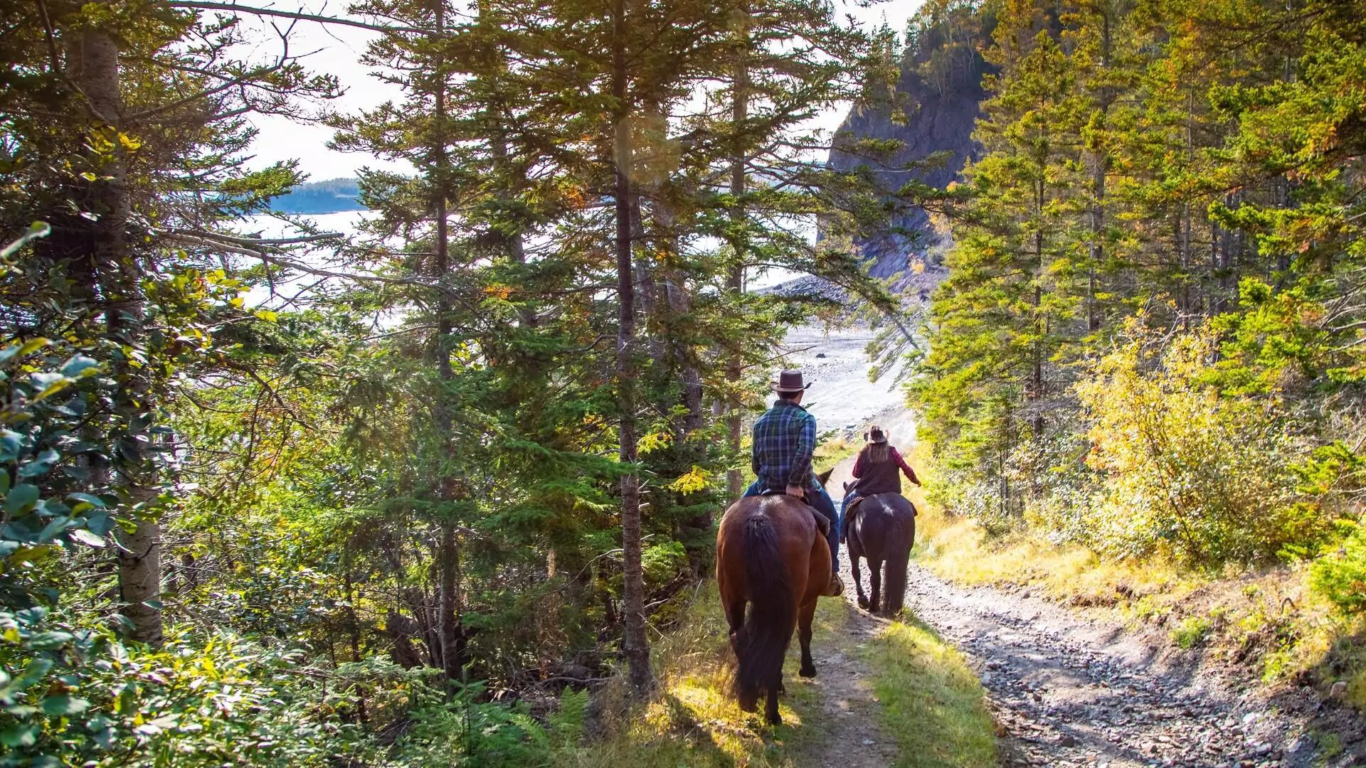Bay of Fundy Beach Trail Ride