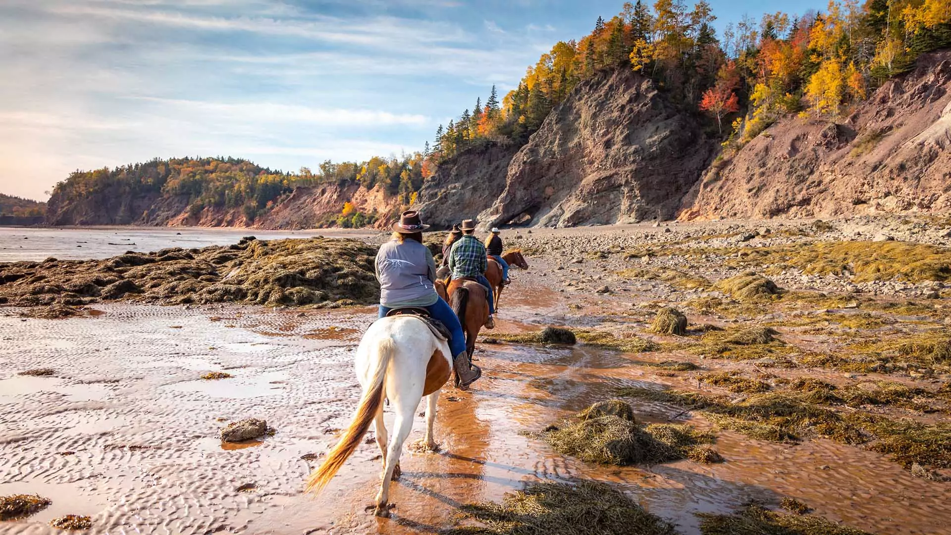 Geopark beach tour on horseback with Spirit Reins at low tide on the Bay of Fundy