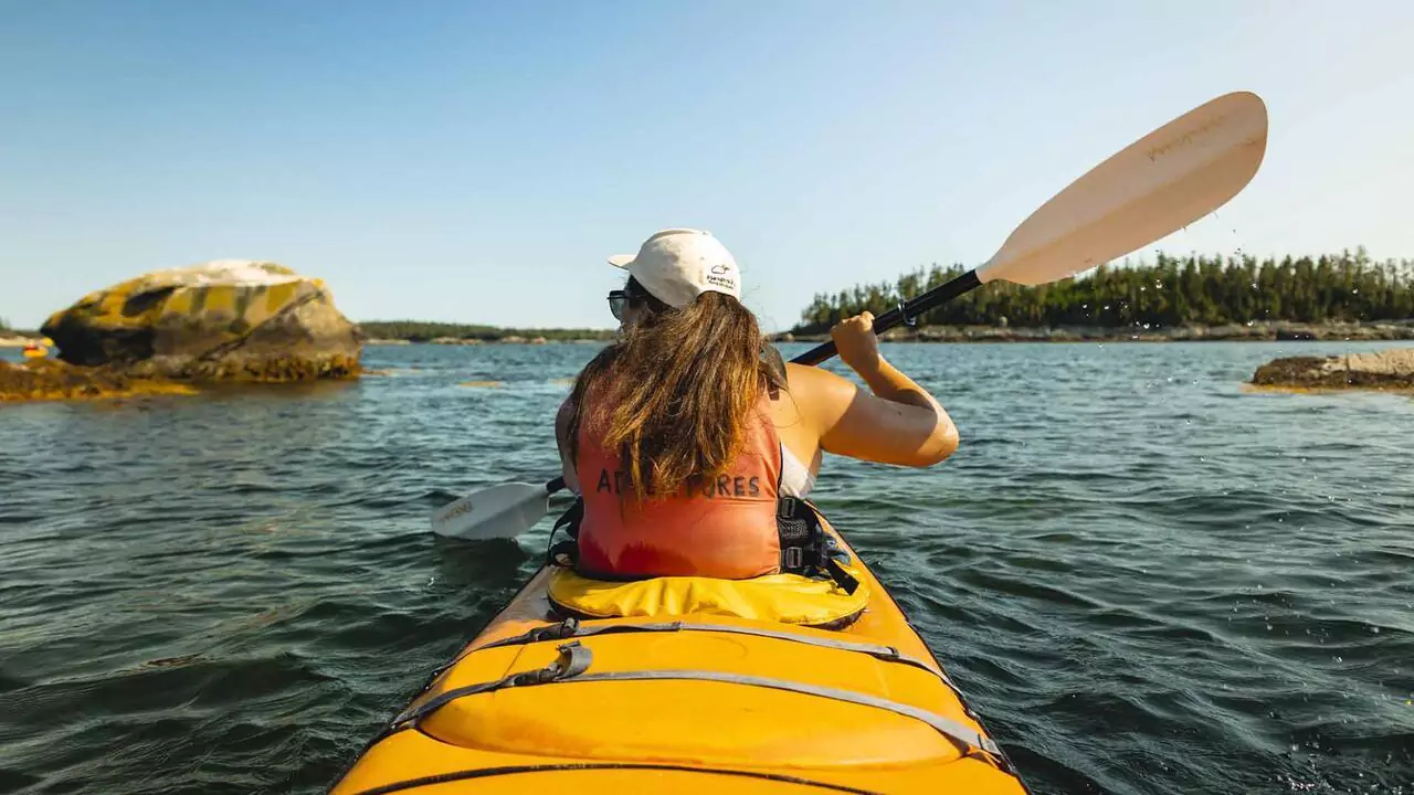 Taylor Head Kayaking