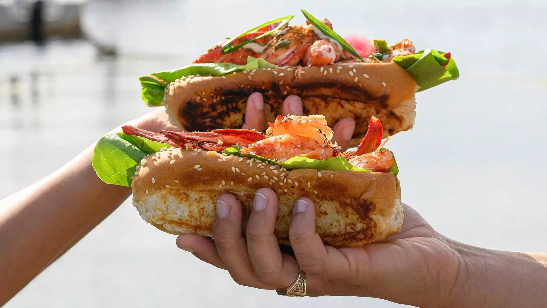 Lobster Dining 101: Where to find lobster rolls, steamed lobster, and more in downtown Halifax