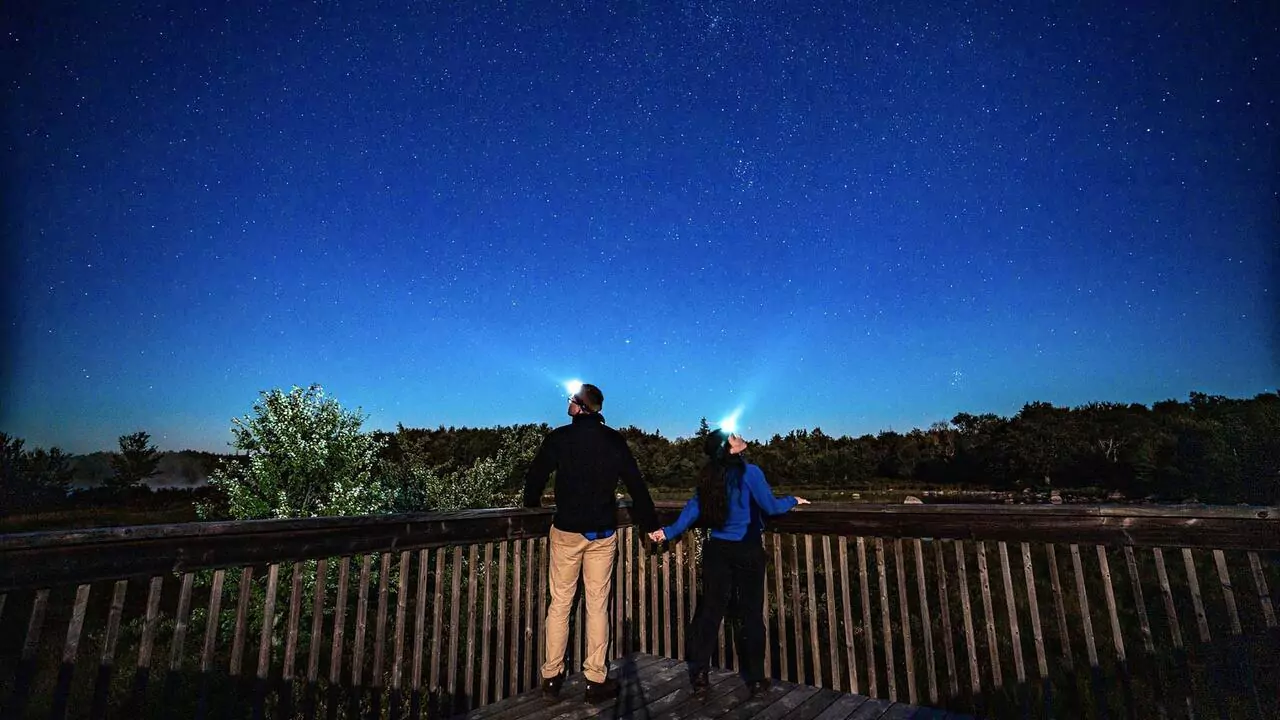 Stargazing
