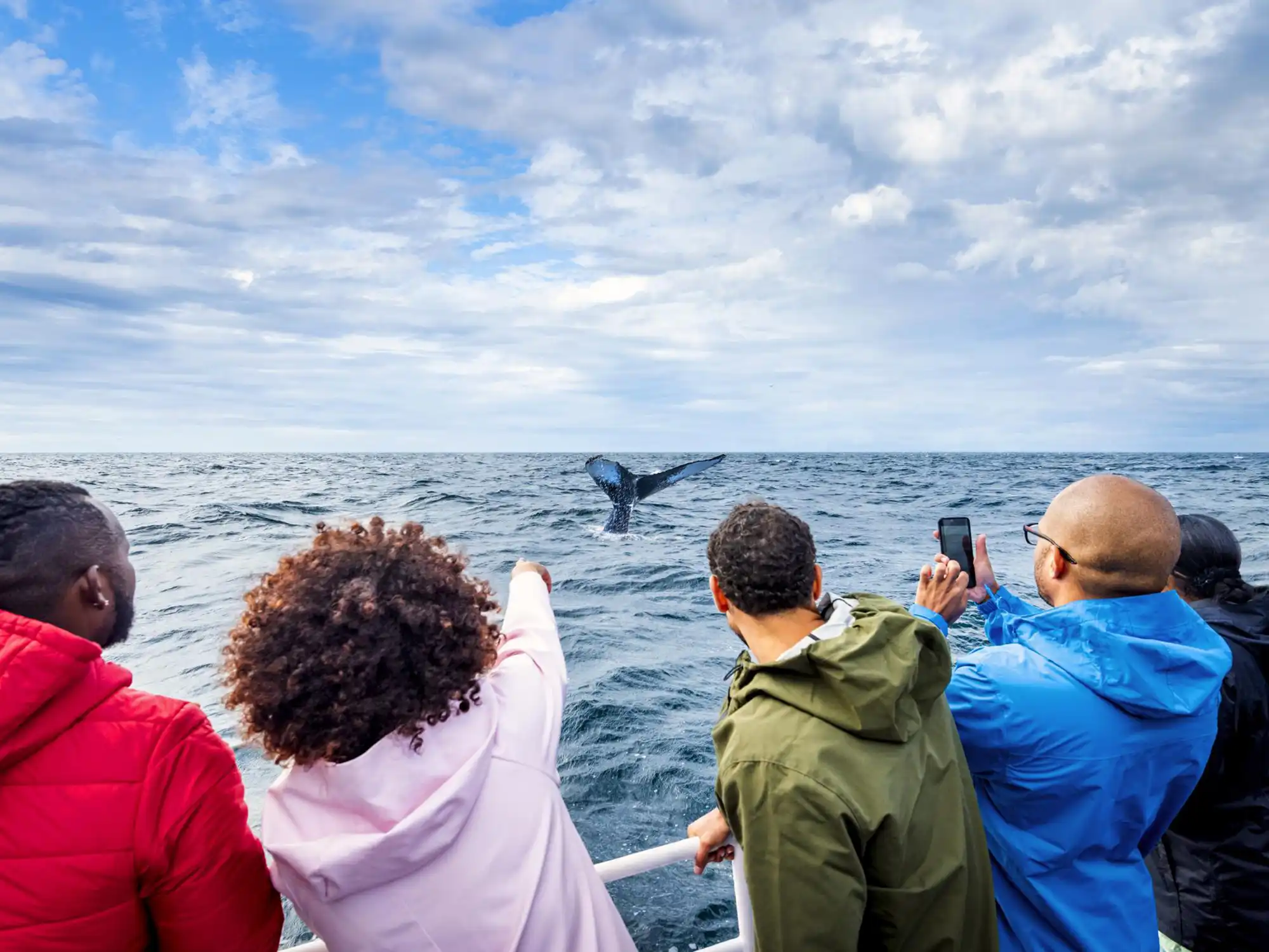 A group of whale watchers spot a whale