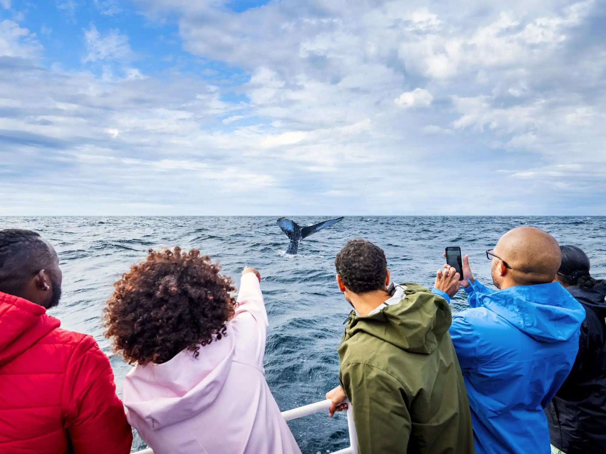 Whale Watching